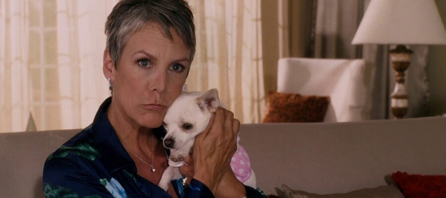 “Grandview, U.S.A.” & “Beverly Hills Chihuahua” Captures Added to Gallery